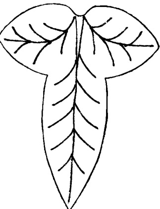 Mallorn Leaf
